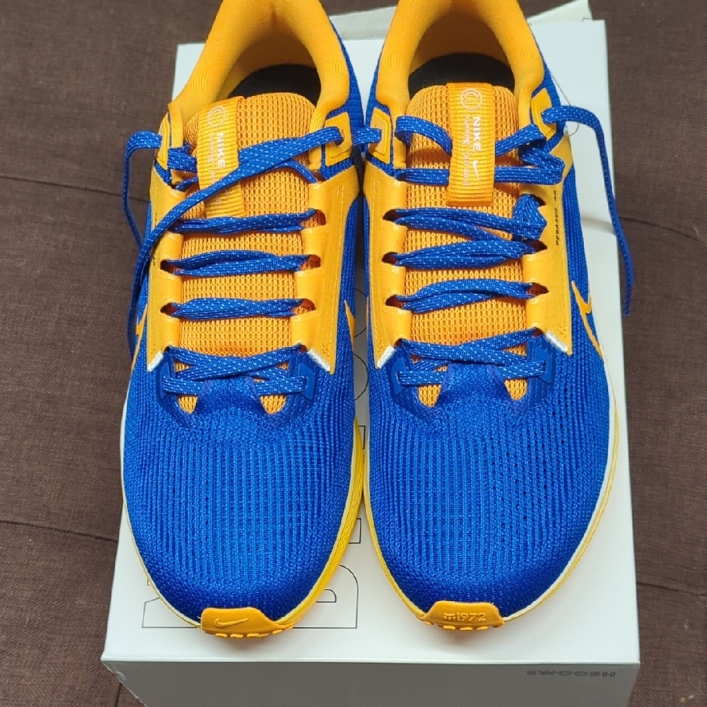 Nike Pegasus 40 Men's Blue and Gold Custom Running Shoes Size 10.5